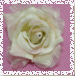 Click to view